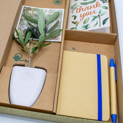 Gift tree with notebook - Image 9